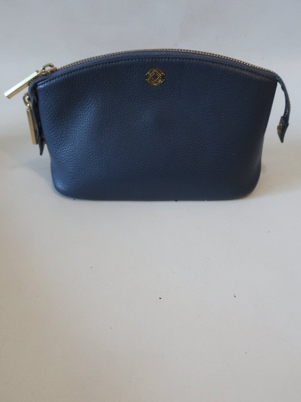 Women Dagne Dover Blue Pebbled Leather Lola Pouch Bag